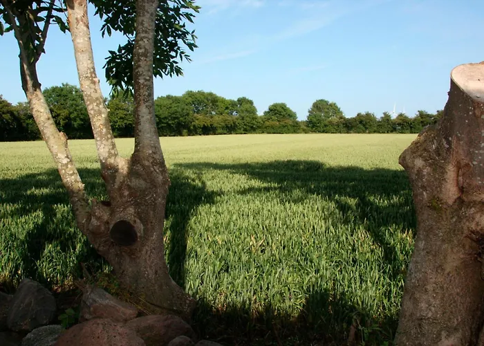 Kleiner Feldblick بيت للعطل *